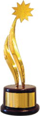 Excellence award
