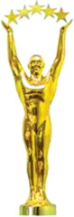 Five star excellence award