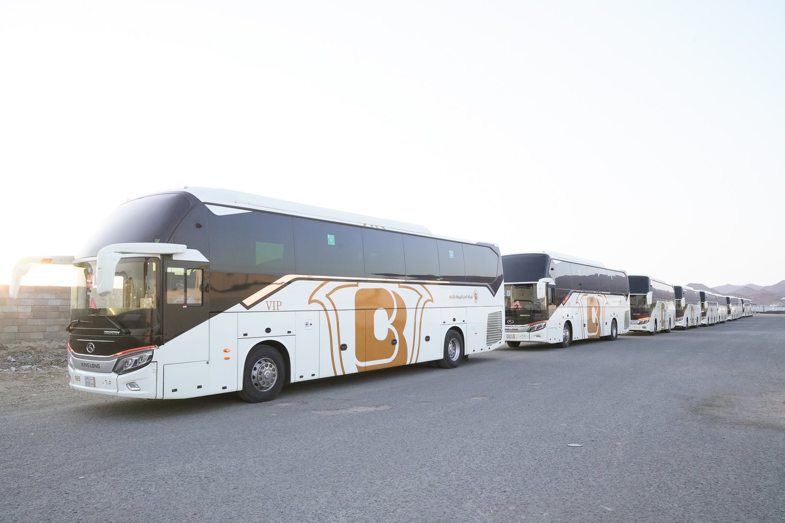 Transportation and Cruise Services