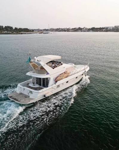 Cruises