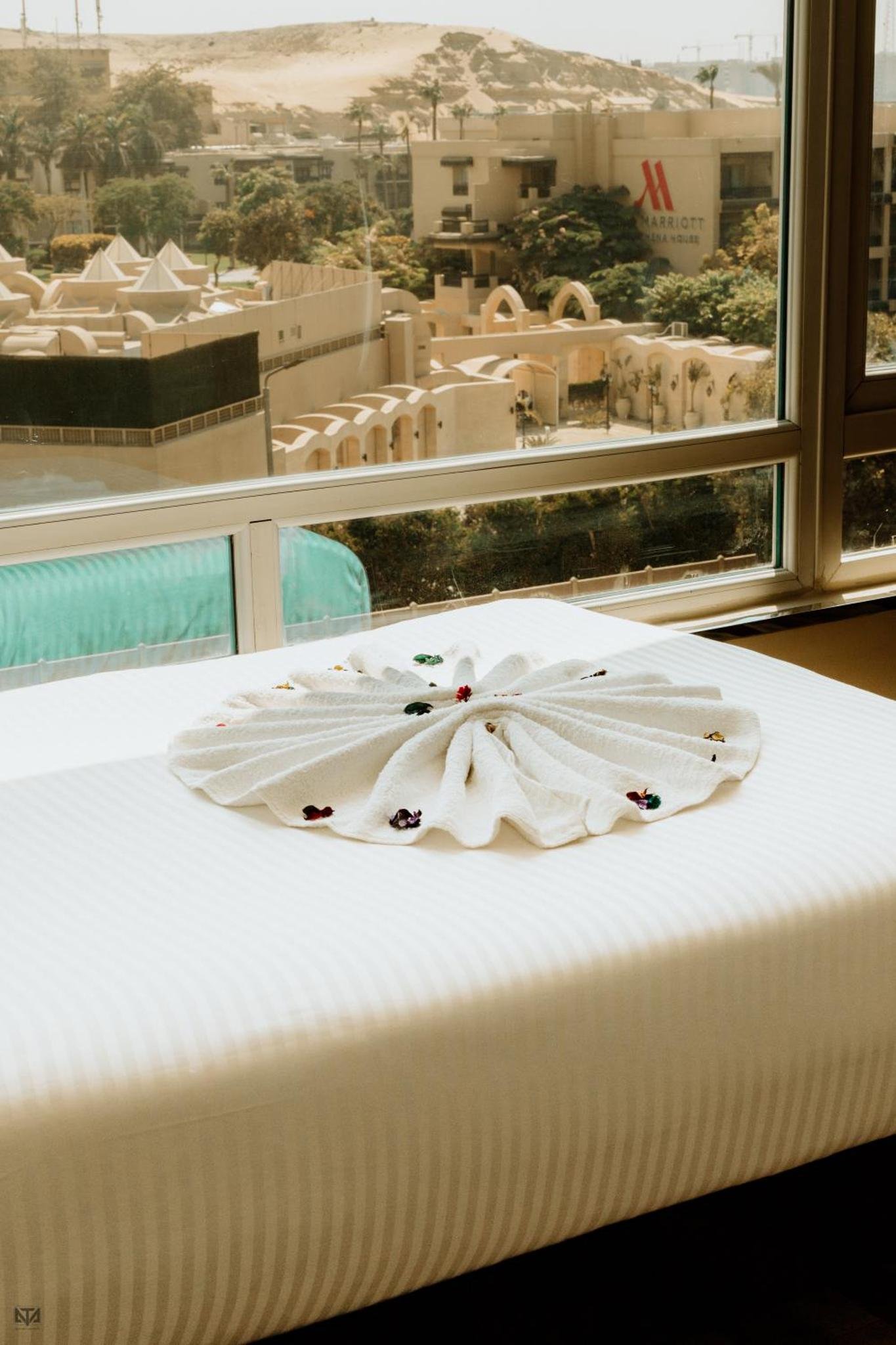 Turquoise Pyramids & Grand Egyptian museum view Hotel photo 3
