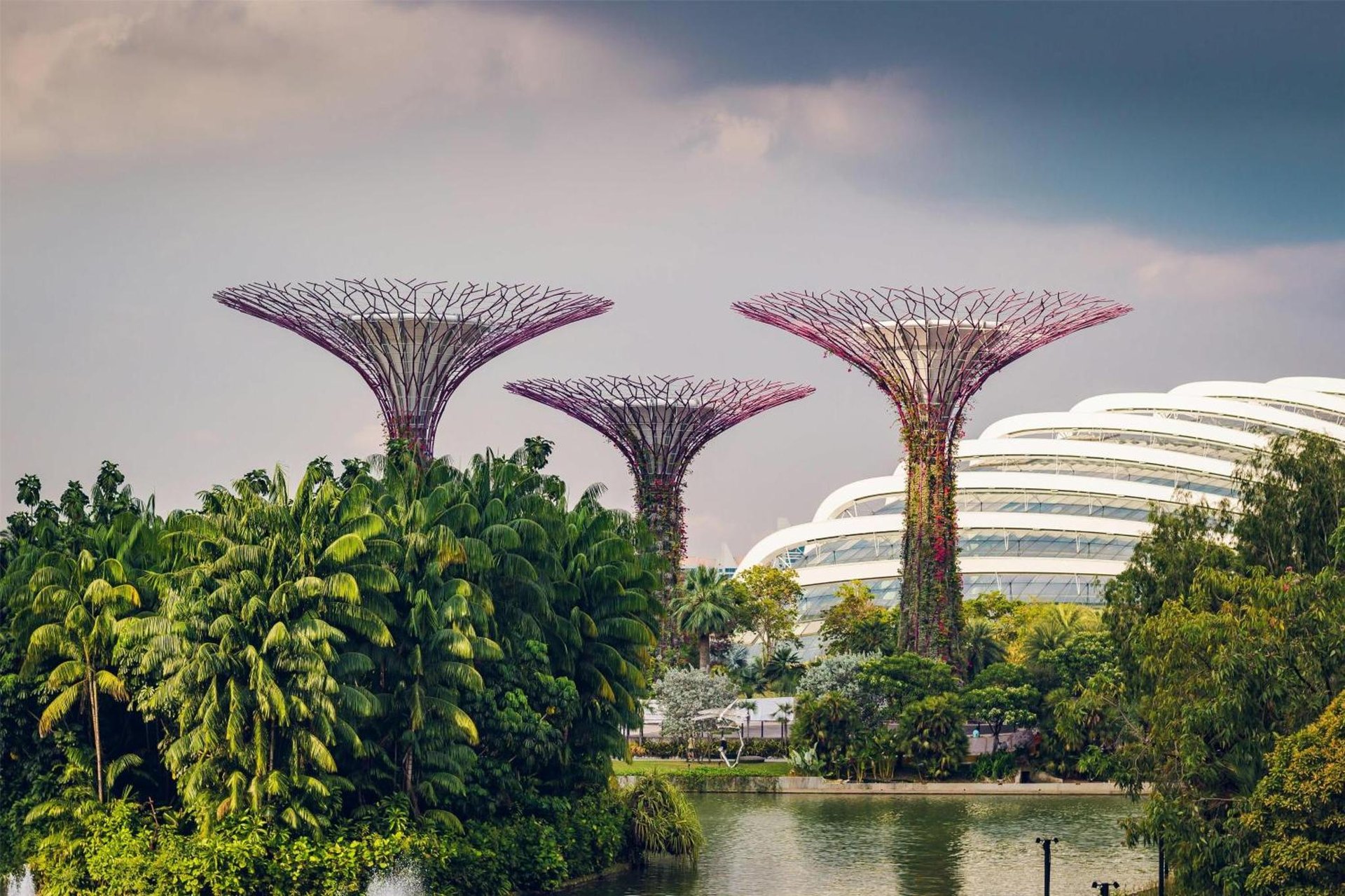 Conrad Singapore Marina Bay photo 1
