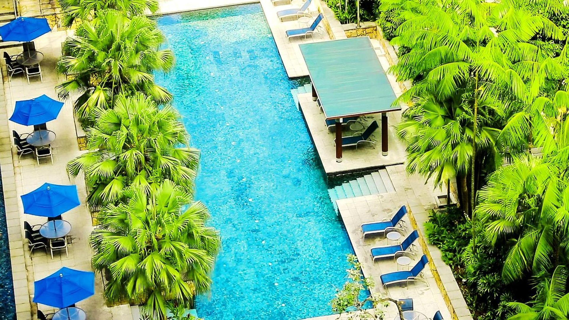 Amara Singapore photo 3