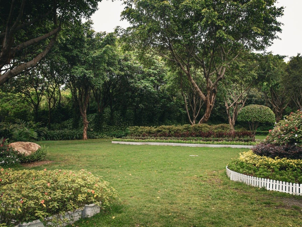 Landscaped Garden
