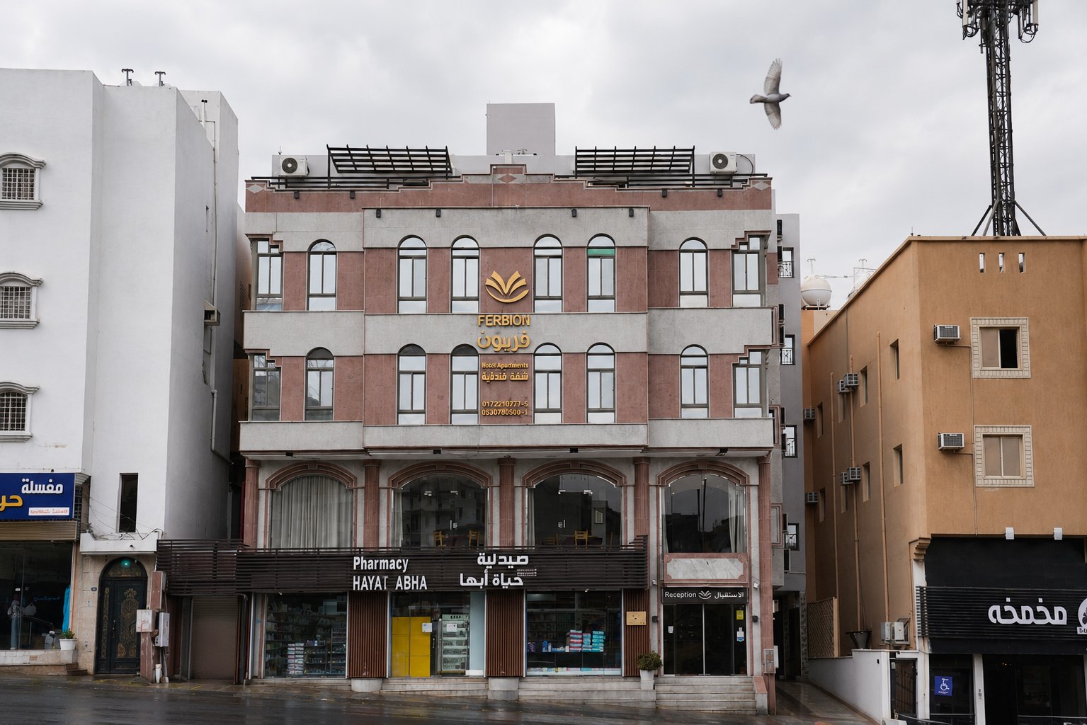 فندق فربيون ابها - Ferbion Hotel Abha - Image 1