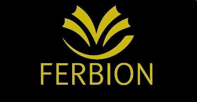 فندق فربيون المجاردة - Ferbion Hotel Almajardah