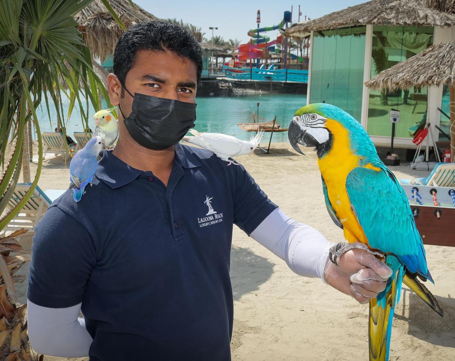 Lagoona Beach Luxury Resort and Spa