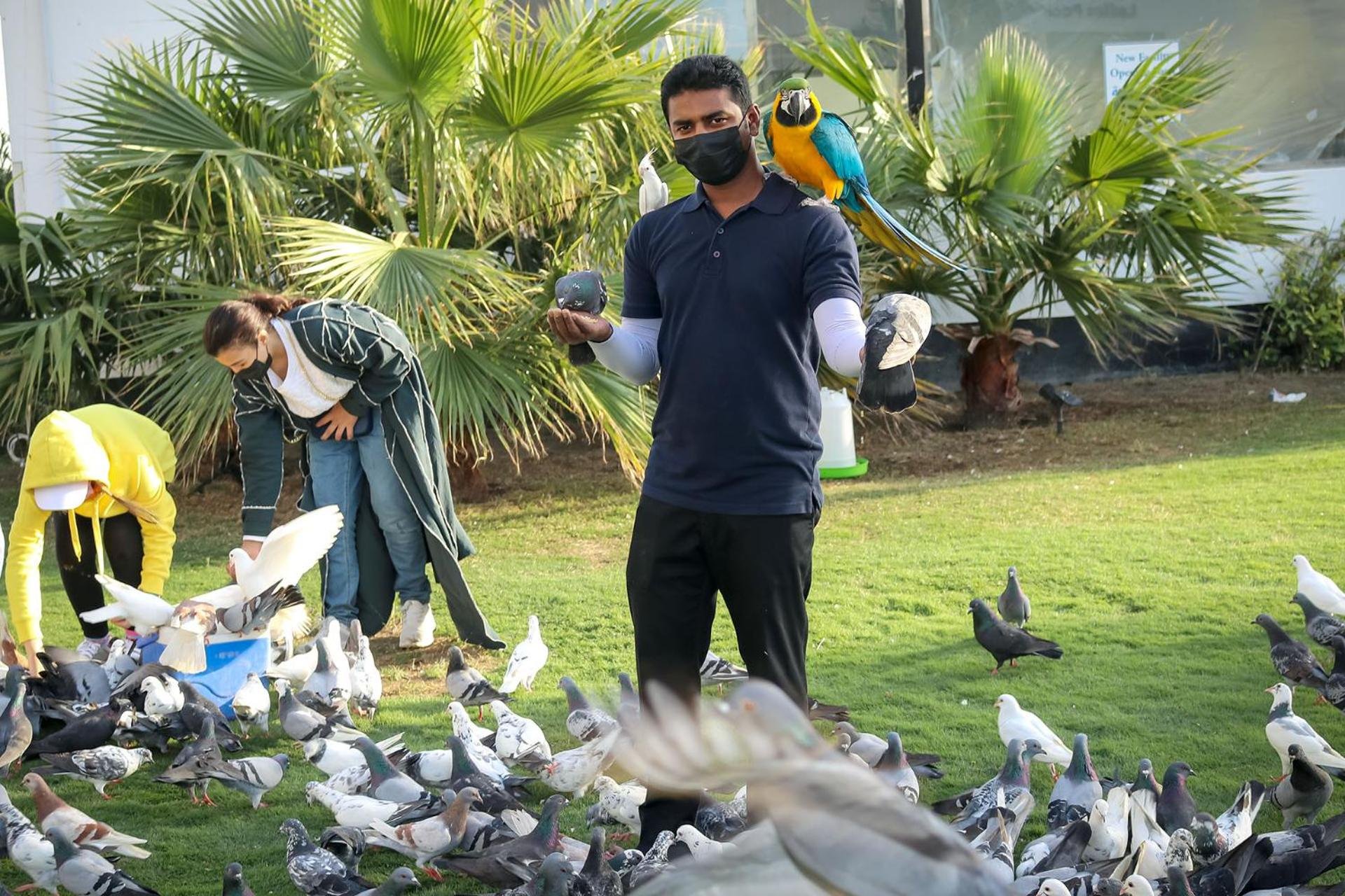 Lagoona Beach Luxury Resort and Spa