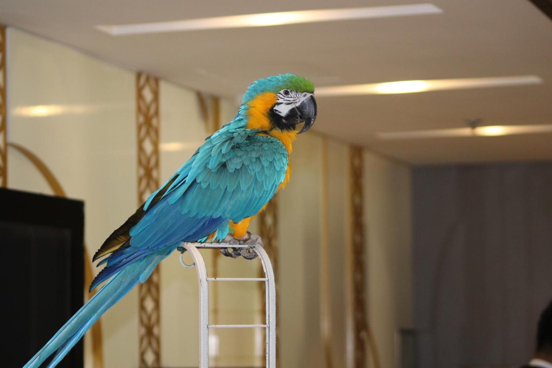 Lagoona Beach Luxury Resort and Spa