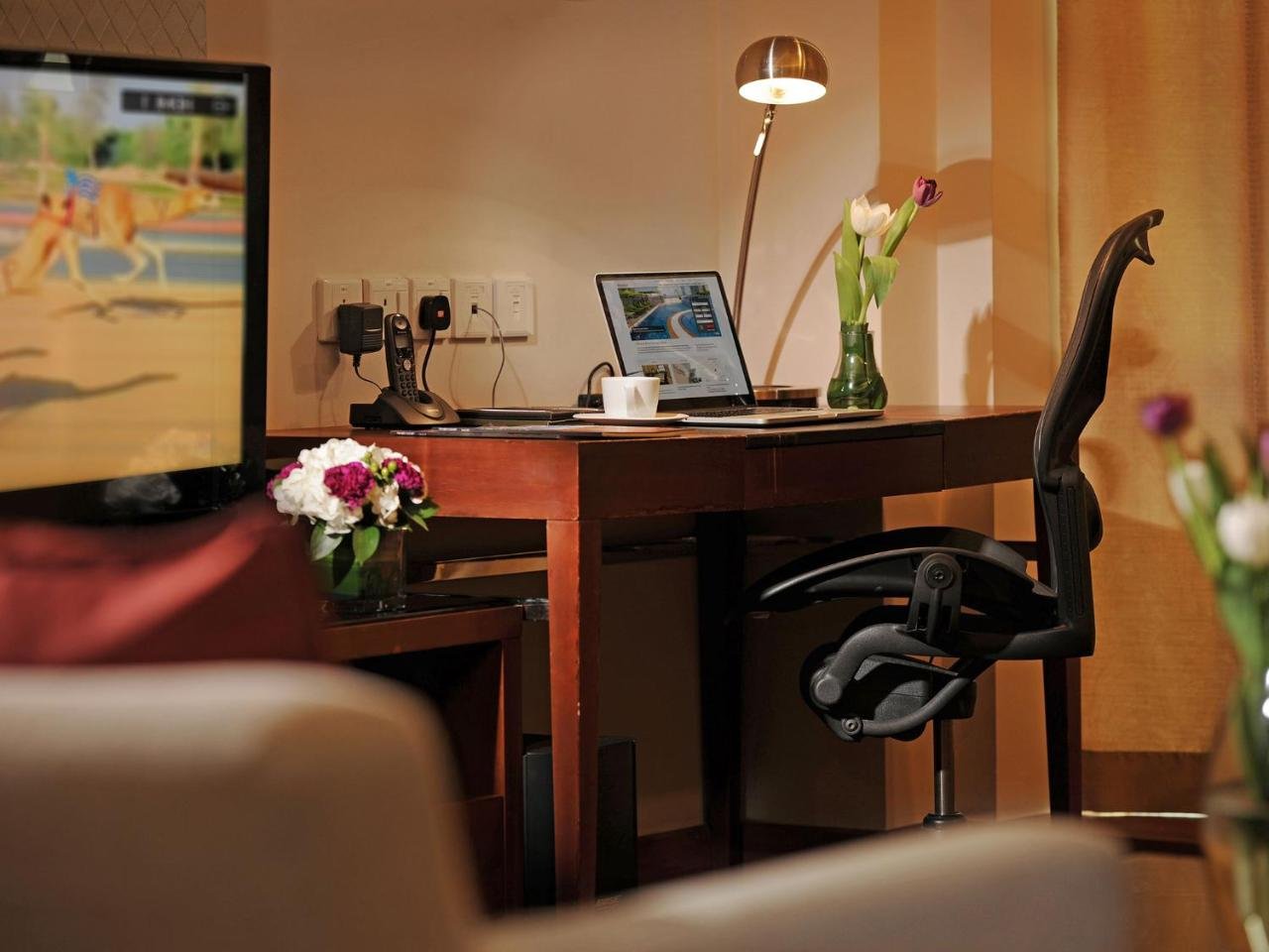 Photo of Deluxe One-Bedroom Apartment #3