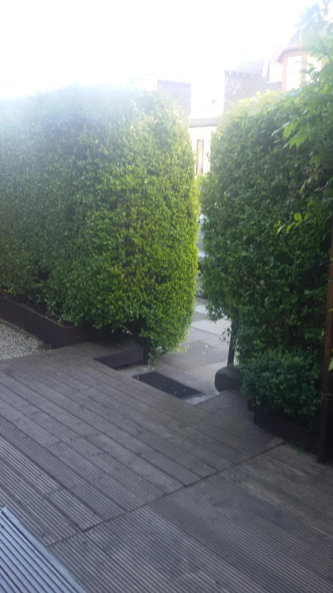 Cambridge House - Image 2