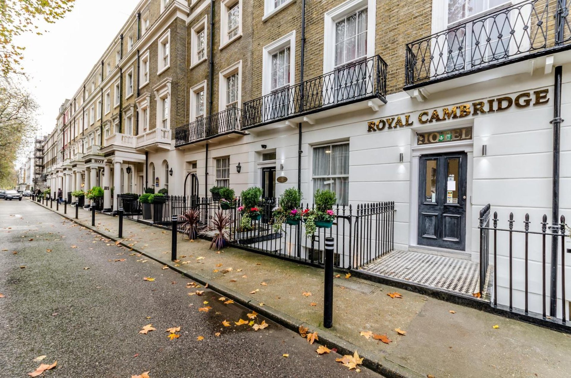 Royal Cambridge Hotel photo 4