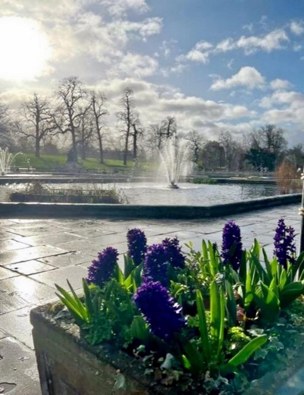 Rove Hotel London Paddington